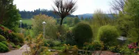Waldhotel Hotels in Brilon