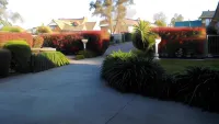 Branxton House Motel