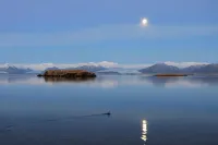 Höfn Inn Guesthouse Hotels in Hofn