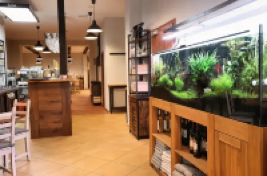 羅馬尼亞酒店 卡羅維發利酒店