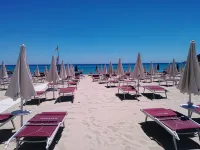 Alma Resort - Beach