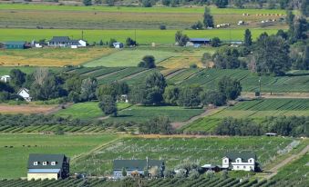 Crowsnest Vineyards Guesthouse