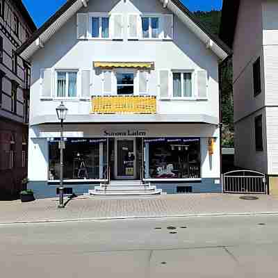 Beautiful, cozy holiday apartment in the heart of the Black Forest Hotel Exterior