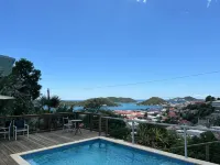 The Green Iguana Hotel - مسبح