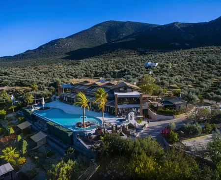 Hotel Anthidon Estate Отели в г. Xirovrisi