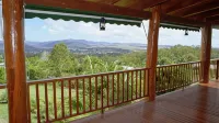 Atherton Blue Gum - Wifi