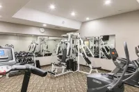 Rodd Royalty - Gym