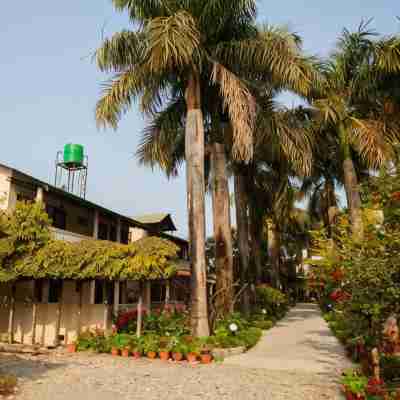Sauraha Resort Hotel Exterior