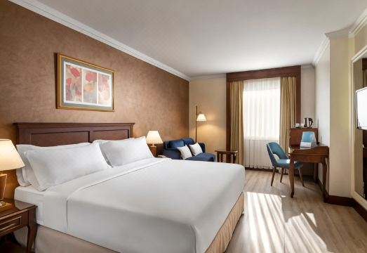 Occidental Pera Istanbul Hotel Overview