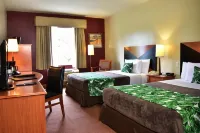 Sleep Inn Hotel Paseo Las Damas Hotels in 