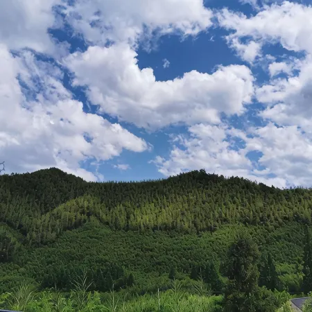Moganshan recalls the past