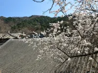 Mutianyu Great Wall Hotel - con vista montagne