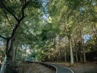 Sunrise Garden Suites Hotels near QBE Stadium Function Centre