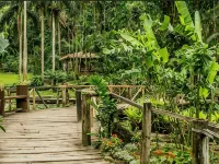 Island Accommodation Nadi Hotels near Nadi International Airport