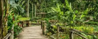 Island Accommodation Nadi