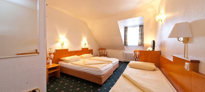 Hotel Ahl Meerkatzen Отели в г. Кельн