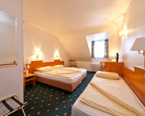Hotel Ahl Meerkatzen Hotels near Praetorium