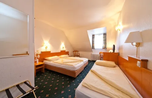 Hotel Ahl Meerkatzen