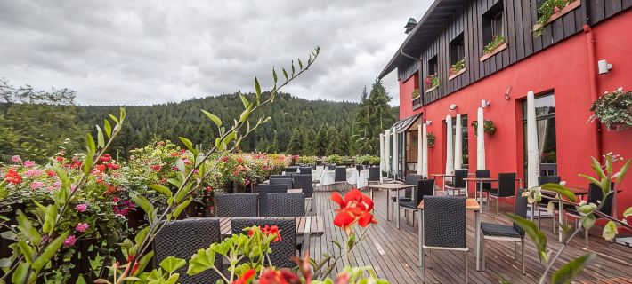 Hôtel Restaurant Spa les Jardins de Sophie Hotels in Vosges