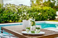 10 Min to Beach, Peloton, Game Room, King Bed - Private Pool