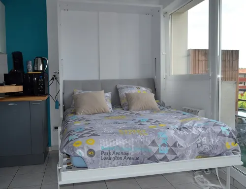 "Le petit Studieux", charming studio near Albi city center - Condos