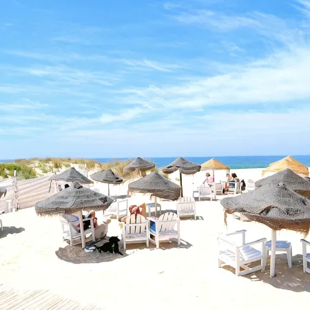 Lisbon Beach Apartments 8. Beach 5 minut-terrace-barbecue-pets welcome-wifi