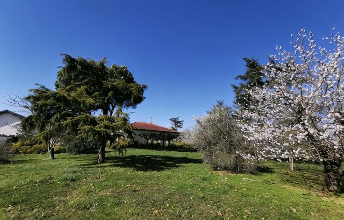Gaillac House