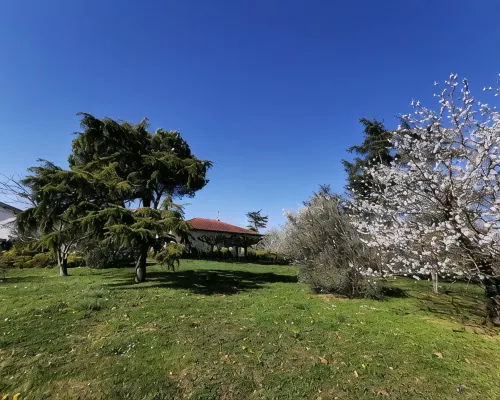 Gaillac House Hotels in Gaillac