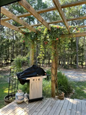 The Fairy Hut @ Iris Hill Glamping - 4-Star