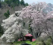 Aizu Astraea Hotel
