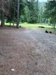 Up River Getaway. Complete 30/50 RV Site. Hike, Fish, Float, Relax! - 2-Star