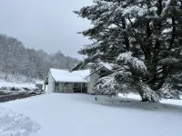 The Douglas Place - A Rustic Cabin on Armenia Mountain - Homestays