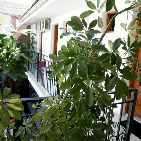 Mimoza Studios