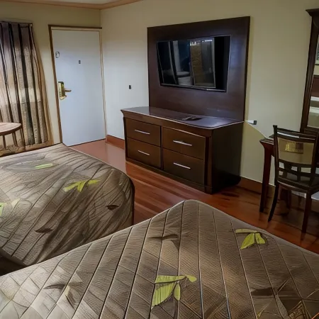 Hotel San Martin