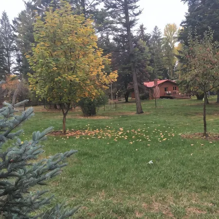 Swan Mntn View--Entire, Private Basement Suite, Close to GNP, Whitefish & Lake.