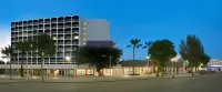 Sol House Mallorca - Pet Friendly