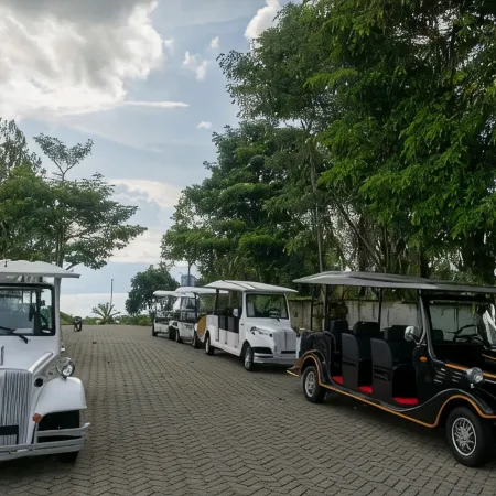 Niagara Hotel Lake Toba & Resorts