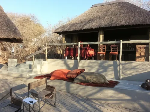 Thulani Game Lodge and Eco Estate