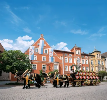 Hotel Zum Erdinger Weißbräu - Pet friendly