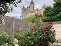3500 SQF/HISTORIC HOUSE WITH WARMED POOL IN THE OLD SAUMUR/GREAT VIEWS - 4성급