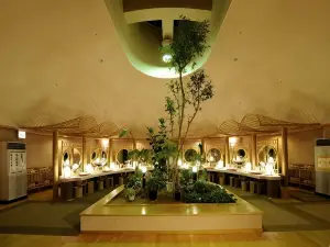 Taikanso Senami No Yu