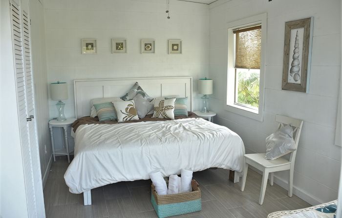 Trade Winds - Oceanview, Private Pool, Short Walk To Pink Sand Beach, Central.