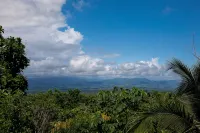 Breathtaking Jungle Views and Abundant Wildlife -  Large pool. - 4-Star