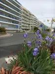 À 5mn à Pied de la Plage et du Marché Studio Dans Petite Résidence Très Calme - Homestays