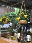 Phuc Sinh Homestay - bar