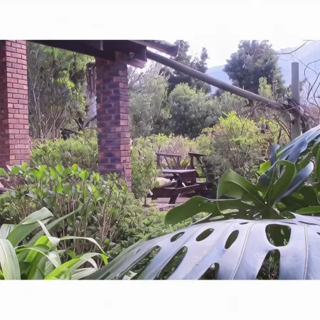 Forest Nest Cottage, Tsitsikamma Hotele w: Stormsrivier