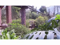 Forest Nest Cottage, Tsitsikamma - Apartments