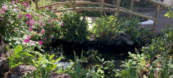 50 Steps to the Ocean!  Great Maui Location! Hotels in Maalaea