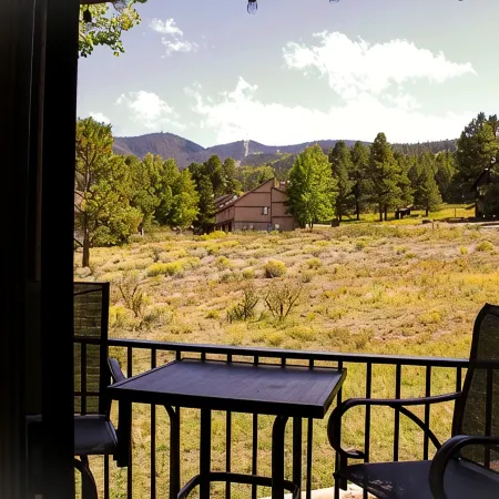 The PeakView Haven Condo - SnowFire 207B