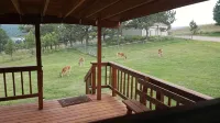 Private Country Cottage in the Black Hills - Wifi